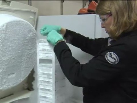 Los científicos investigan 'contrarreloj' una posible cura contra el ébola