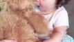 Adorable Little Girl Affectionately Hugs Teddy Bear