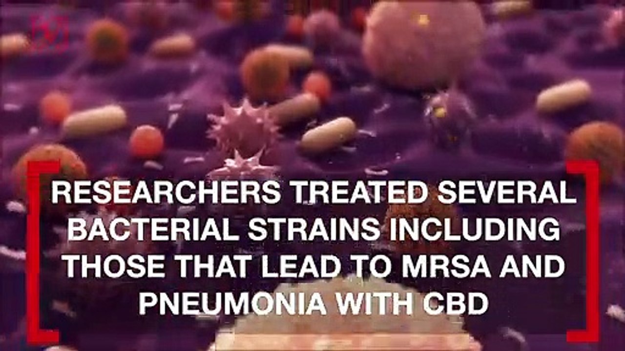 CBD Could Someday Replace Traditional Antibiotics: Study