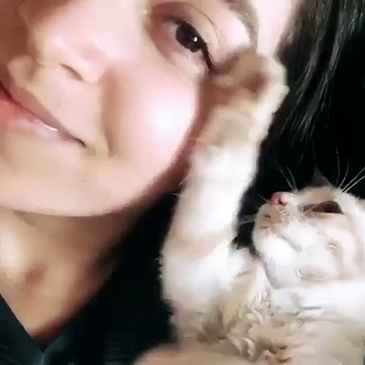 Ce chaton s'amuse avec la joue d'une jeune fille. Adorable !