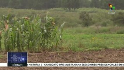 El mundo vive una crisis mundial alimentaria