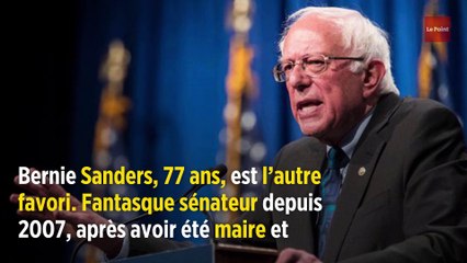 Qui sont les candidats à la primaire démocrate ?