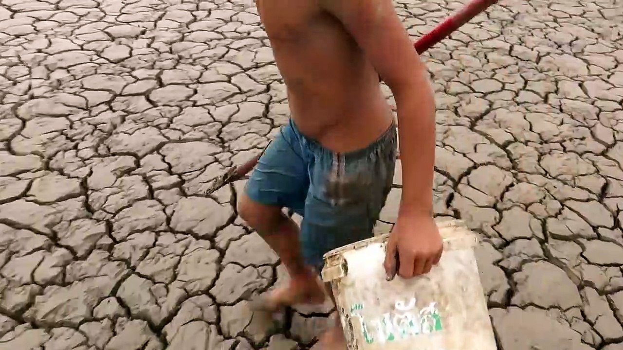 Survival Fishing | Found & Catch a lot of fish in a secret hole dry near rice field in rainy season