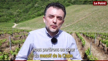 La route des vins : Languedoc