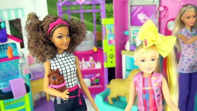 Barbie Frozen Elsa, & Jojo Siwa Doll take her Puppy to the Hair Salon Pet Groomer - Toy Pet Clinic
