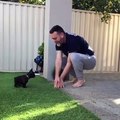 Cet homme apprend à son petit bulldog comment sauter. Trop mimi !