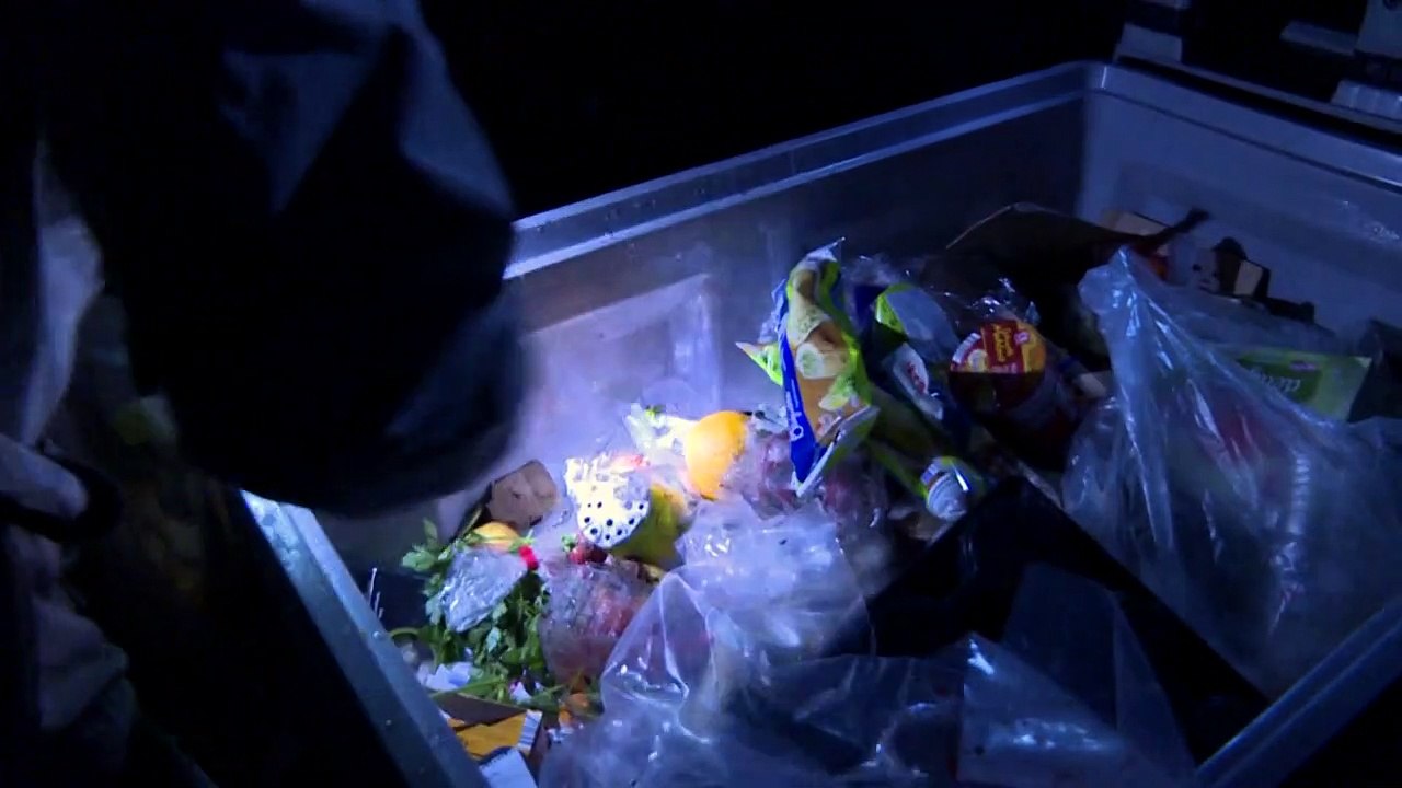 Containern: Illegales tun für Umwelt und Gewissen