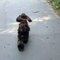 Miniature DailyMotion