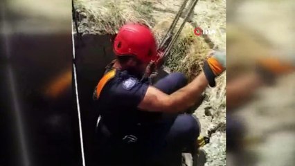 Kuyuya düşen inek, 5 saat süren çalışmayla kurtarıldı