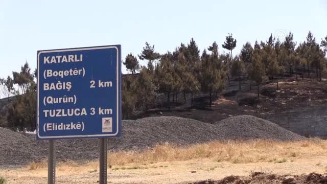 Fıstık ağaçları ve saman balyaları yandı
