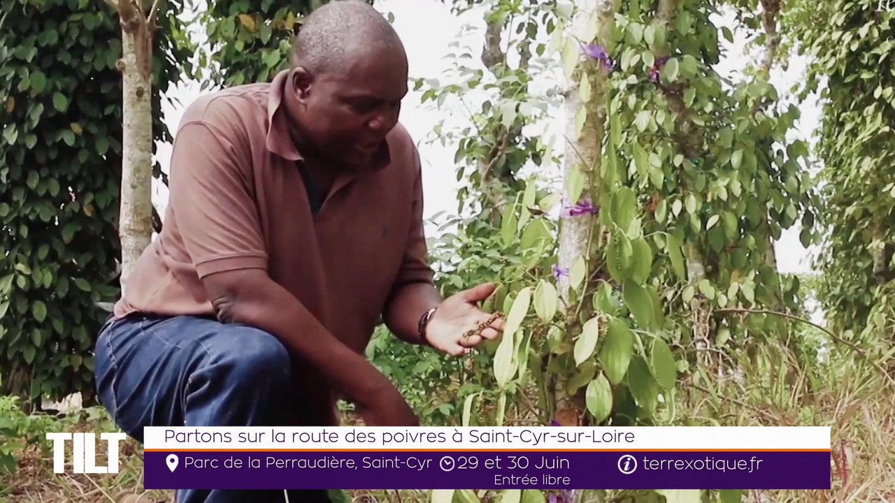 TILT - 24/06/2019 Partie 1 - Partons sur la route des poivres à Saint-Cyr-sur-Loire