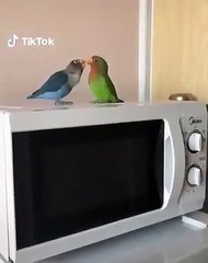 Quand l'amour devient de la haine. Trop drôle !!