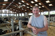 Ventilateurs contre la canicule pour les vaches alsaciennes