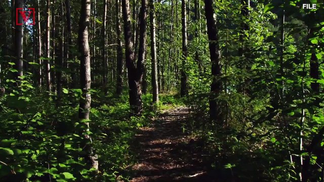Sick Undocumented Worker Dies After Taken to Woods by Boss Who Refused to Call Ambulance