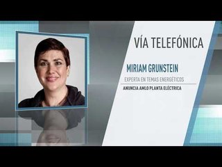 Falta definir acciones para creación de planta eléctrica propuesta por AMLO: Miriam Grunstein