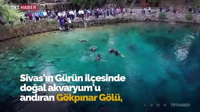 Eşsiz faunasıyla Gökpınar Gölü irtifa dalış merkezi olma yolunda