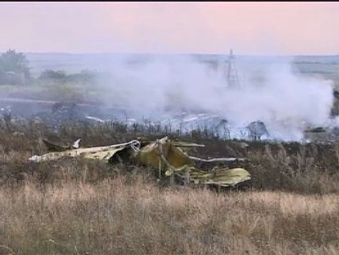 Imágenes del lugar donde se ha estrellado al avión de Malaysia Airlines en el este de Ucrania