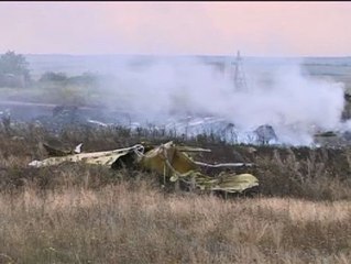 Imágenes del lugar donde se ha estrellado al avión de Malaysia Airlines en el este de Ucrania