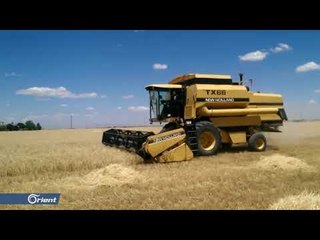 ناشطون: استياء الفلاحين من احتكار "الإدارة الذاتية" لموسم القمح