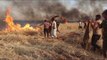 حرق آلاف الهكتارات من محصول الحبوب في سوريا .. من الفاعل؟ - هنا سوريا