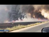 حرائق جديدة في المحاصيل الزراعية في منطقة القامشلي بالحسكة