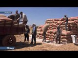 احتراق ما يقارب 800 هكتار من الأراضي المزروعة بالقمح في محيط حلب وإدلب