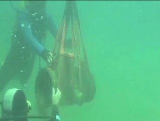 La guardia civil intensifica la vigilancia para evitar expolios subacuáticos