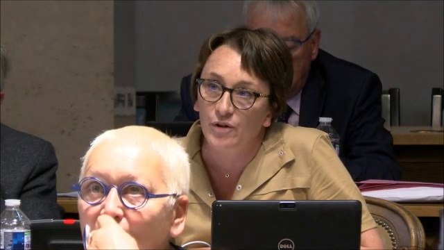 Céline TONOT. Partenariat avec les poles urbains du territoire métropolitain le 24 juin 2019