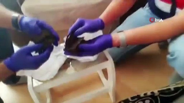 Tarihi eser kaçakçılarına operasyon...Değeri 1 milyon 750 bin dolar olan 2300 yıllık 2 adet İncil ele geçirildi