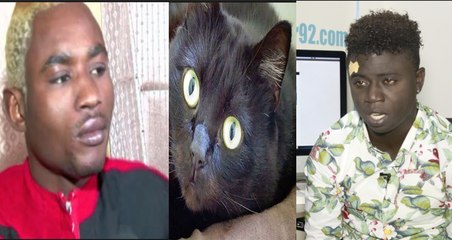 Pawlish : " Ouzin moussou sirou (chat) sopalikou motakh ma daw "