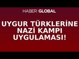 Türkleri'e Nazi Kampı Uygulaması