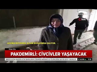 2 Milyon Civciv Ölüme Terkedildi. Yaşlı Kadın Civcivler için Böyle Ağladı