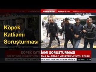 Ankara'da Köpek Katliamı Soruşturmasında Son Durum