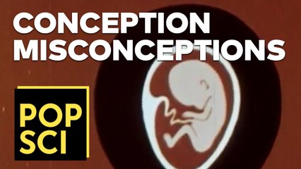 6 Misconceptions About Conception and Abortion