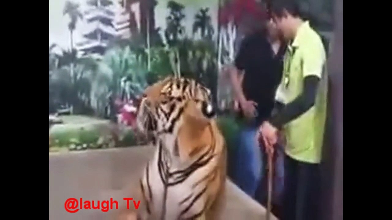 Funniest and Viral Whatsapp Videos - Funny Pranks Try Not to Hate You Challenge / Videos de Whatsapp más Divertidos y Virales - Bromas Divertidas que Intentan no Odiar el Desafío