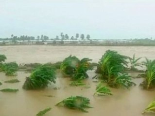 Christopher Field: "El cambio climático es un problema económico"