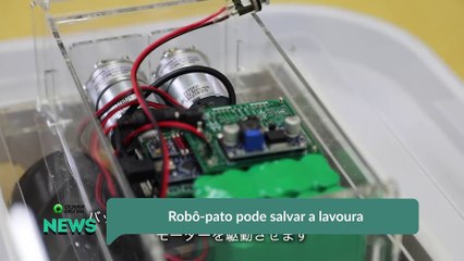 Robô-pato pode salvar a lavoura