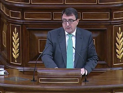 El PNV se abstendrá y pide un proceso de reforma constituyente que incluya la soberanía vasca