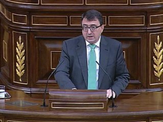 El PNV se abstendrá y pide un proceso de reforma constituyente que incluya la soberanía vasca