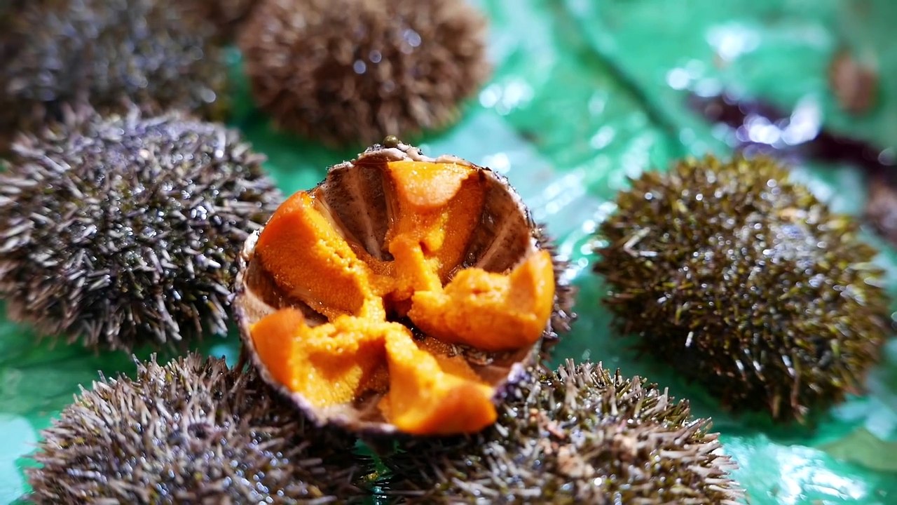 Japanese Street Food - OSAKA SEAFOOD Giant Scallops, Oysters, Sea Urchin Japan