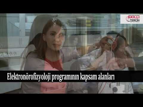 Elektronörofizyoloji programı hangi alanları kapsar?