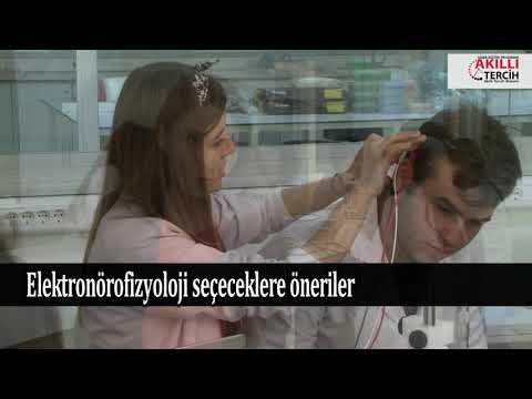 Elektronörofizyoloji programı öğrencilerine tavsiyeler