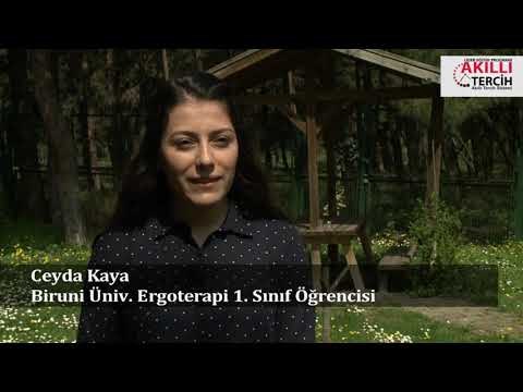 Ergoterapi öğrencilerinin kariyer hedefleri