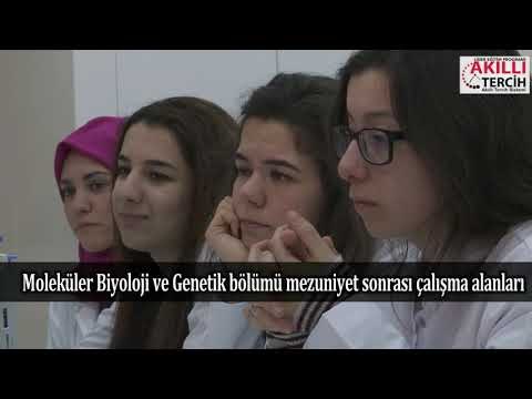 Moleküler Biyoloji öğrencilerinin çalışma alanları