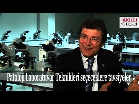 Patoloji Laboratuvar Teknikleri seçeceklere tavsiyeler