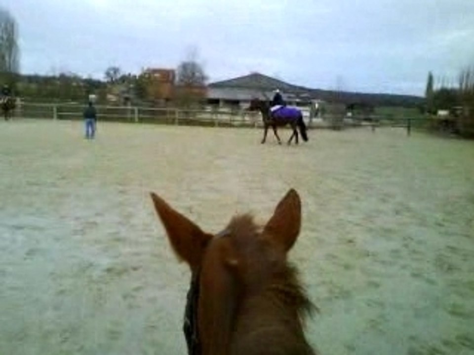 En selle sur Meumeu !