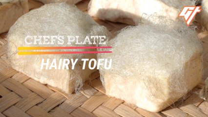 Why Is This Chinese Tofu Hairy?