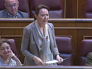 Concepción Gutiérrez del Castillo: "Esta es una legislatura perdida para el empleo"