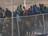 Unos 140 inmigrantes logran saltar la valla de Melilla