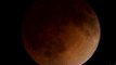 Millones de personas han podido presenciar el eclipse total lunar